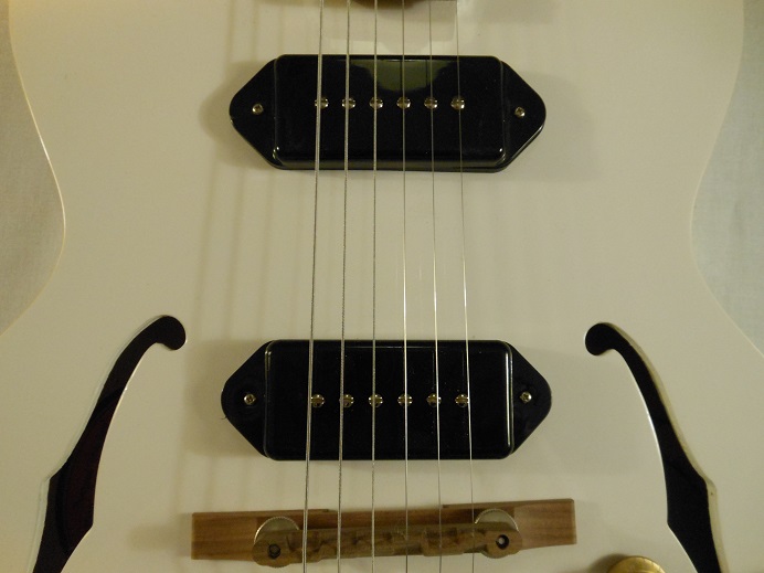 Limited Edition George Thorogood ES125TDC Picture 13